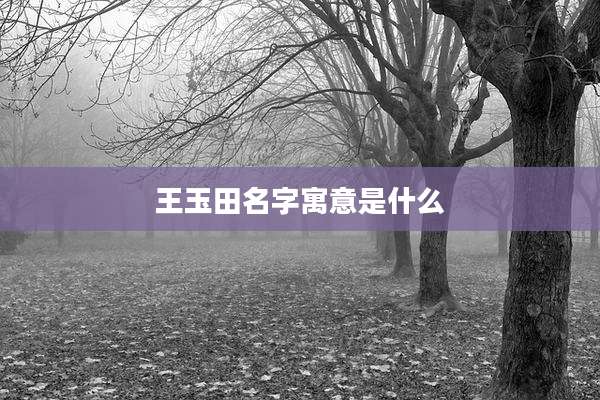 王玉田名字寓意是什么
