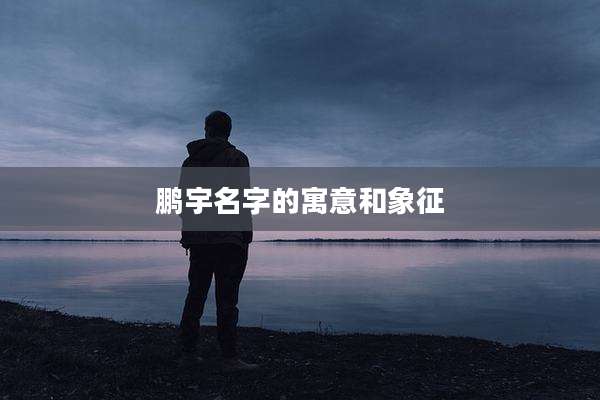 鹏宇名字的寓意和象征