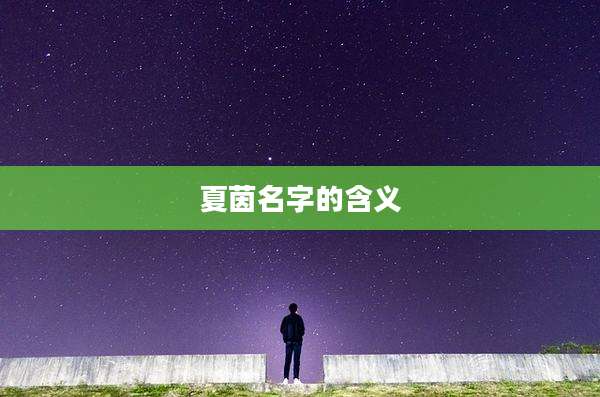 夏茵名字的含义