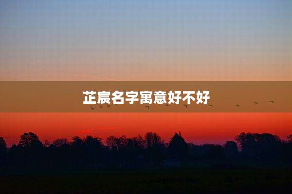 芷宸名字寓意好不好