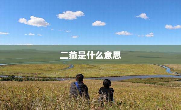 二燕是什么意思