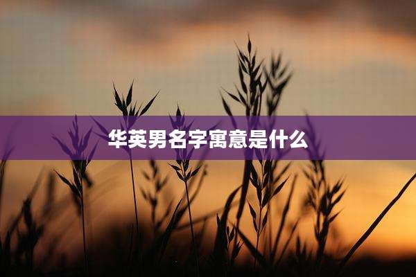 华英男名字寓意是什么
