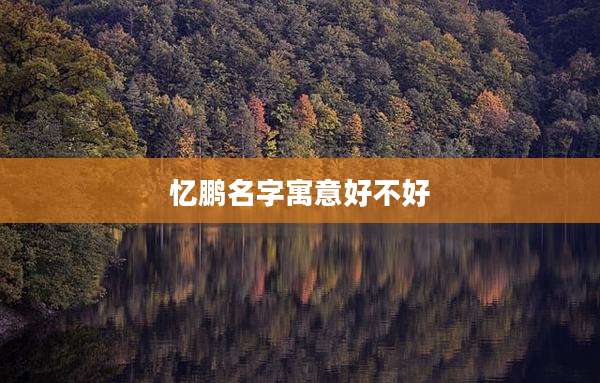 忆鹏名字寓意好不好