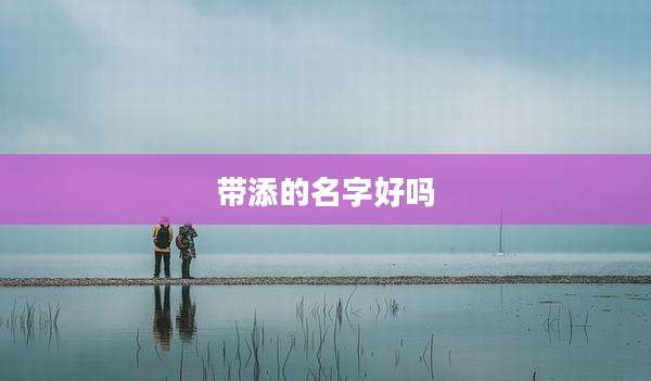 带添的名字好吗