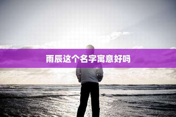 雨辰这个名字寓意好吗