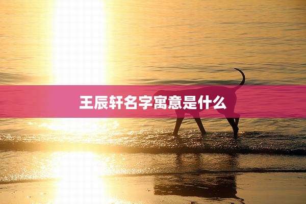 王辰轩名字寓意是什么