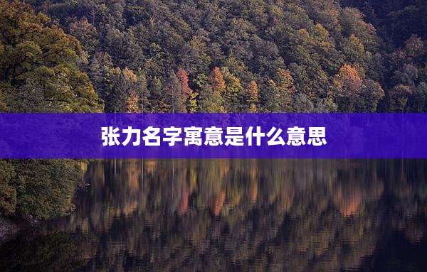 张力名字寓意是什么意思
