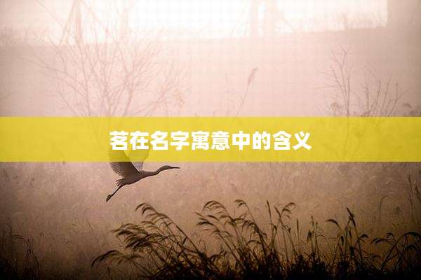 茗在名字寓意中的含义