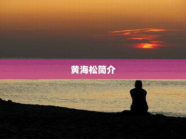黄海松简介