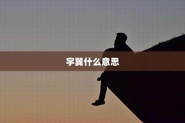 宇翼什么意思