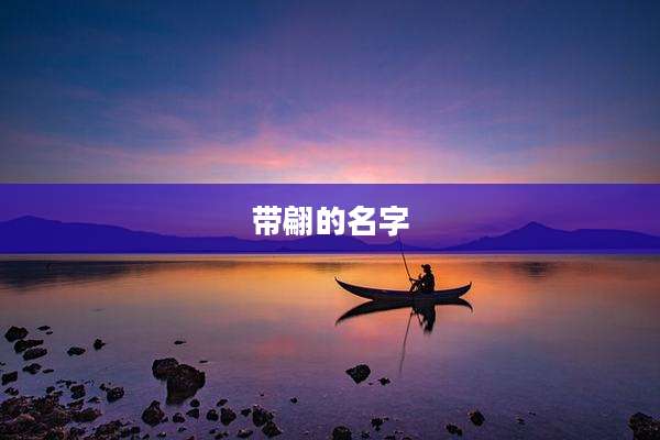 带翩的名字