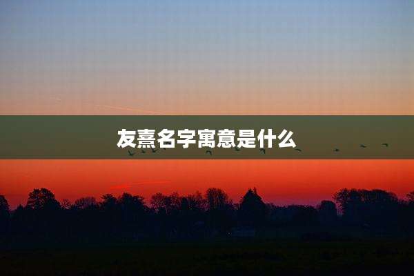 友熹名字寓意是什么