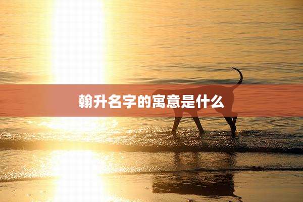 翰升名字的寓意是什么