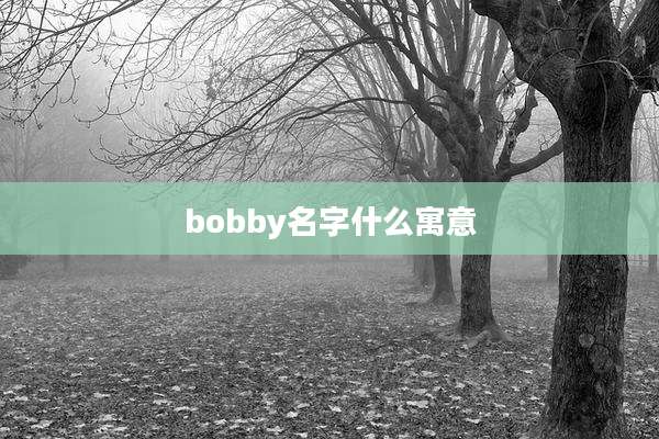 bobby名字什么寓意