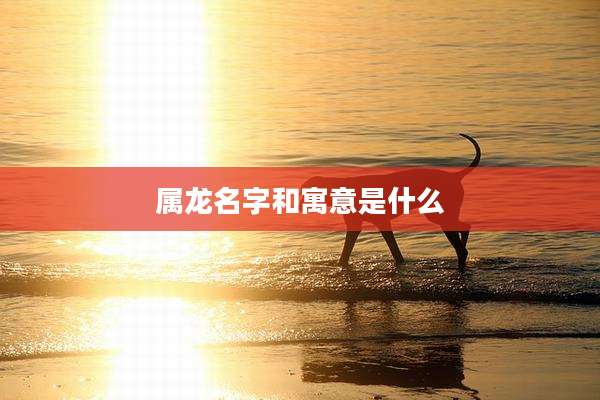 属龙名字和寓意是什么