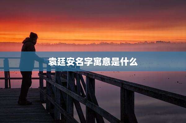 袁廷安名字寓意是什么