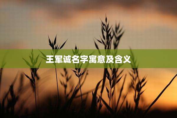 王军诚名字寓意及含义