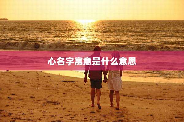 心名字寓意是什么意思
