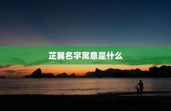 芷翼名字寓意是什么