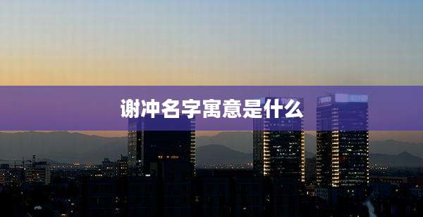 谢冲名字寓意是什么