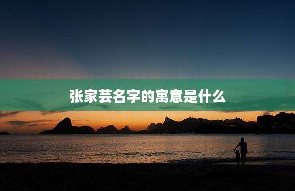 张家芸名字的寓意是什么
