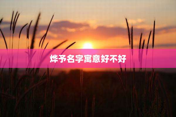 烨予名字寓意好不好