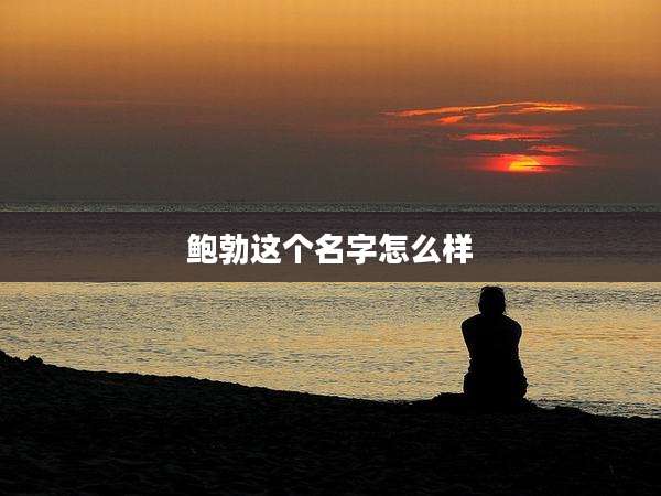 鲍勃这个名字怎么样