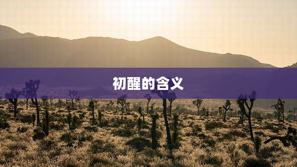 初醒的含义