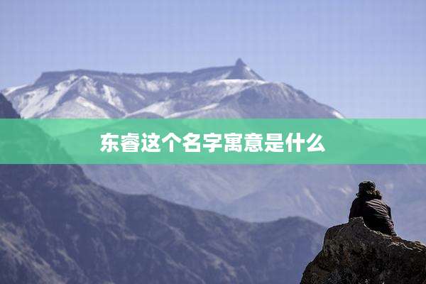 东睿这个名字寓意是什么