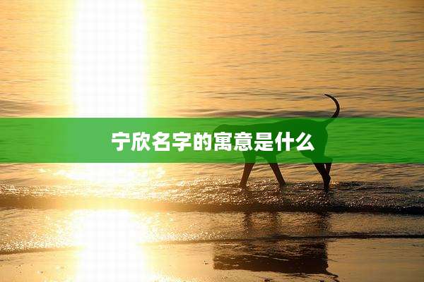 宁欣名字的寓意是什么