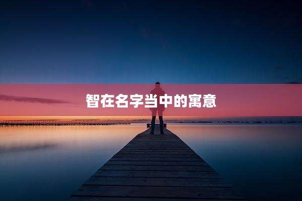 智在名字当中的寓意