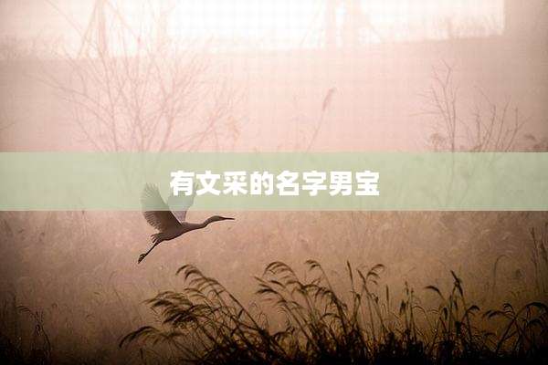 有文采的名字男宝