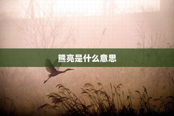 熊亮是什么意思