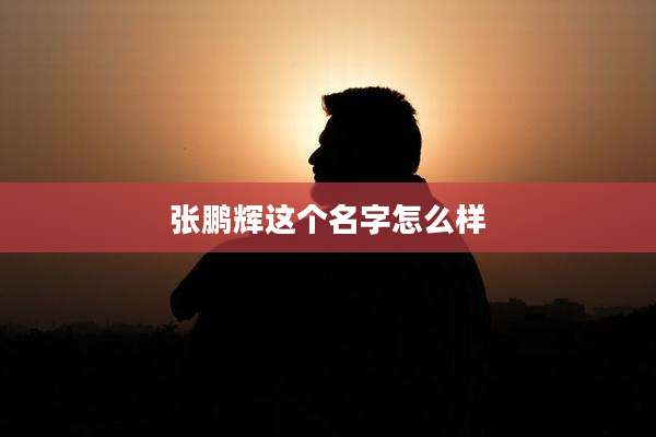 张鹏辉这个名字怎么样