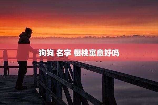 狗狗 名字 樱桃寓意好吗