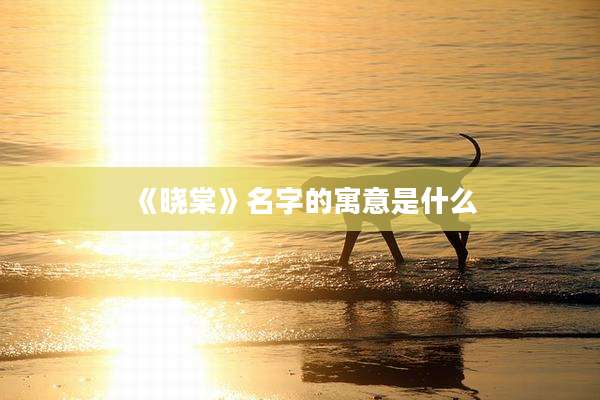 《晓棠》名字的寓意是什么