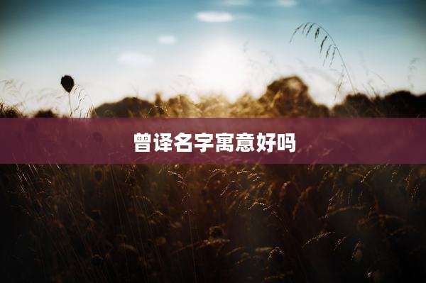 曾译名字寓意好吗
