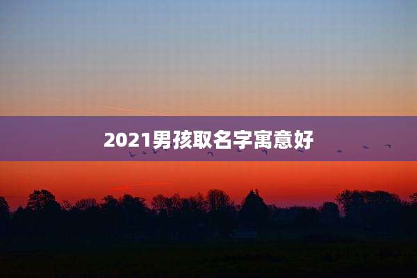 2021男孩取名字寓意好