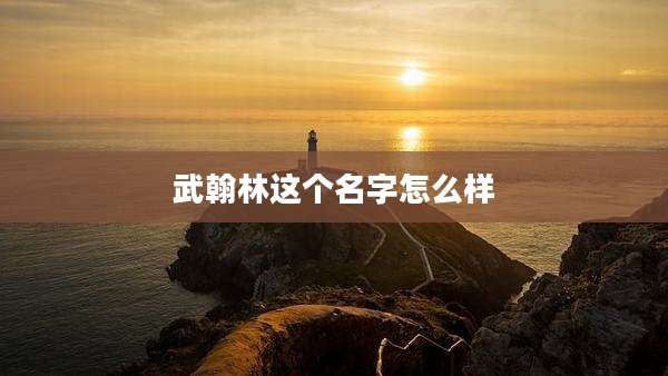 武翰林这个名字怎么样