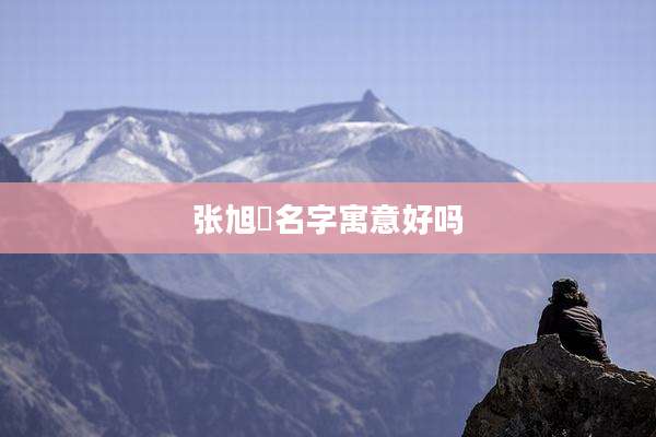 张旭瑄名字寓意好吗