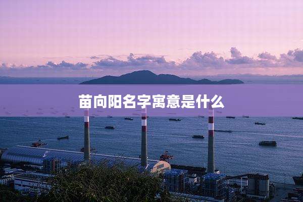 苗向阳名字寓意是什么