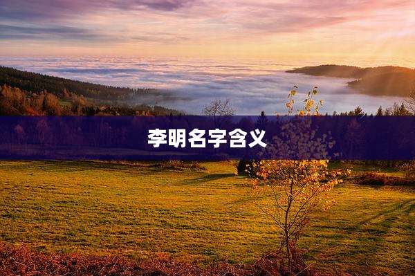 李明名字含义