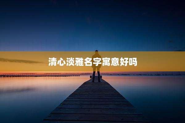 清心淡雅名字寓意好吗