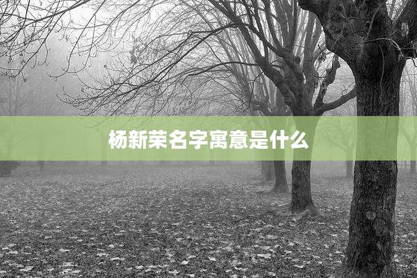 杨新荣名字寓意是什么