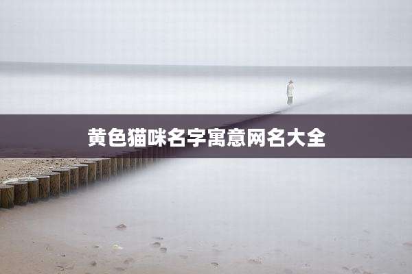 黄***咪名字寓意网名大全