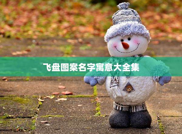 飞盘图案名字寓意大全集