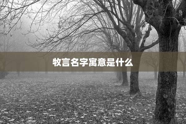 牧言名字寓意是什么