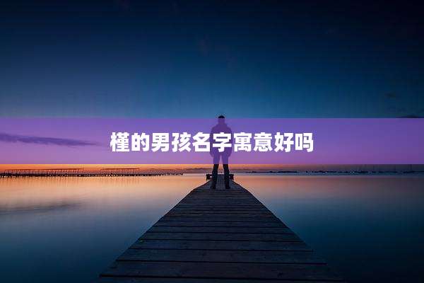 槿的男孩名字寓意好吗