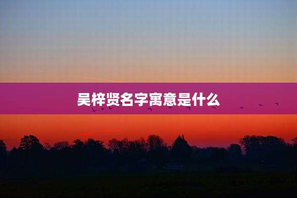 吴梓贤名字寓意是什么