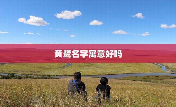 黄鹭名字寓意好吗